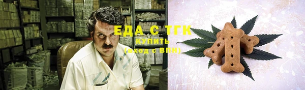спиды Алзамай