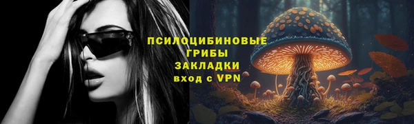 спиды Алзамай