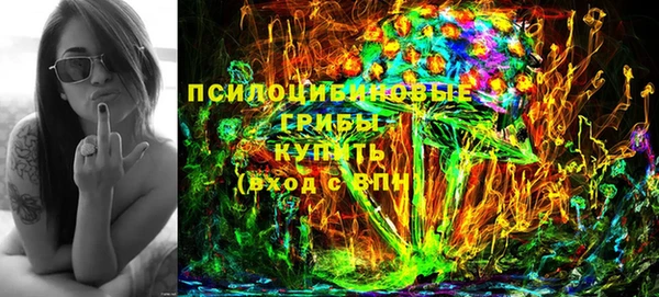 спиды Алзамай
