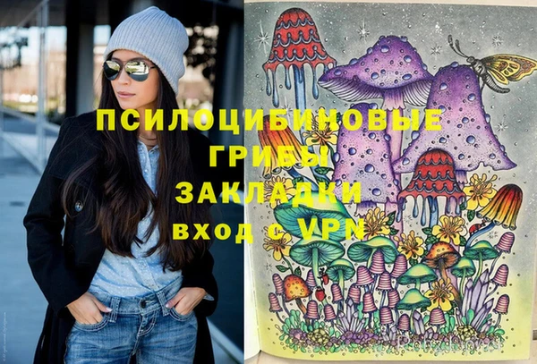 спиды Алзамай
