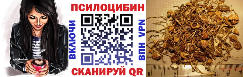 Галлюциногенные грибы мицелий  где можно купить   Уфа 